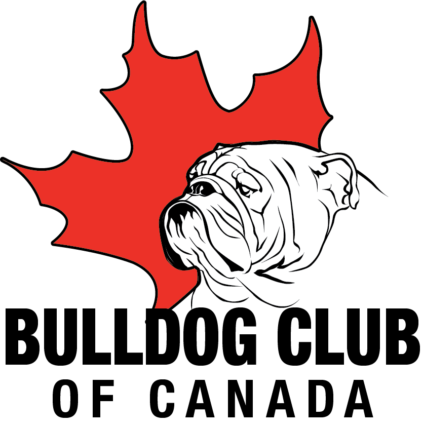 Bulldog Club Logo
